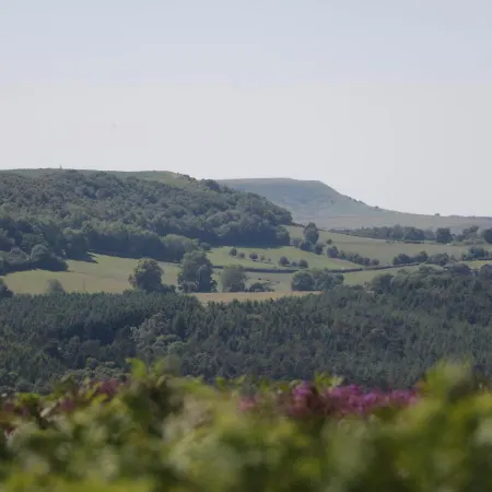 Σπίτι διακοπών 1